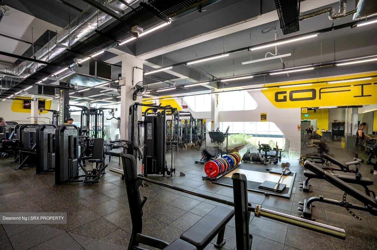 Upper Changi Road North (D17), Shop House #486730671
